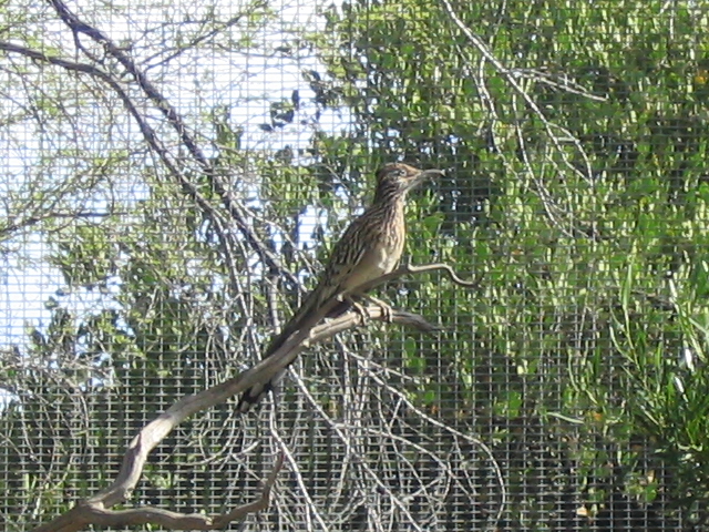 618x457 pixels (286K)